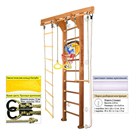 Kampfer "Wooden Ladder Wall Basketball Shield" спортивно-игровой комплекс 51265 - фото 8197